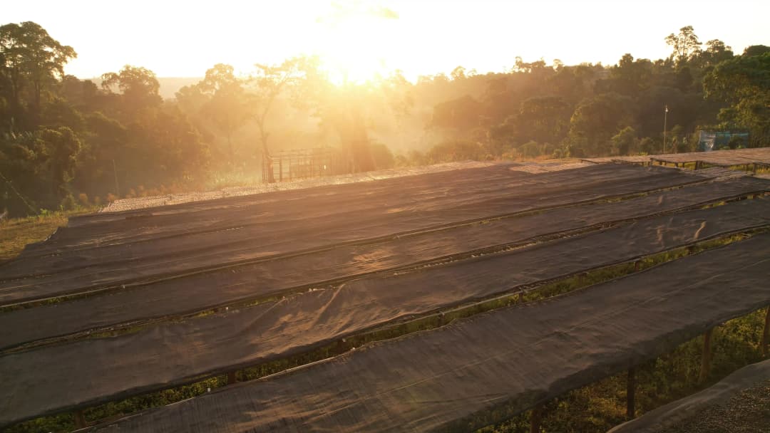 Team members in a meeting