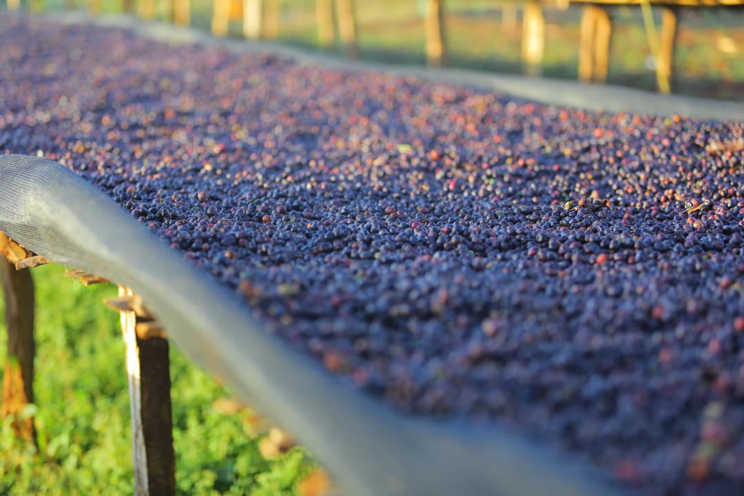 Team members walking and discussing