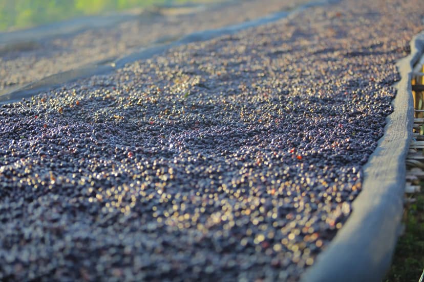 Office meeting session